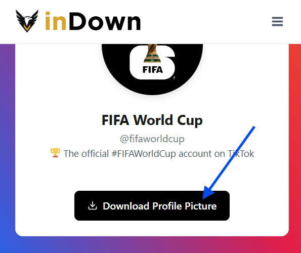 Download TikTok Profile Picture tiktok-profile-picture-how-to-download-step3